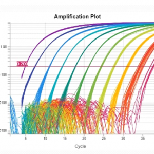 دوره Real-time PCR