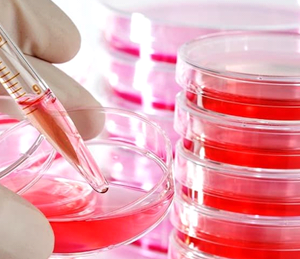 دوره کشت سلول