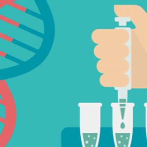 کارگاه آموزشی جامع ژنتیک مولکولی (PCR و Real time PCR)