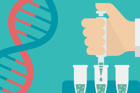 کارگاه آموزشی جامع ژنتیک مولکولی (PCR و Real time PCR)